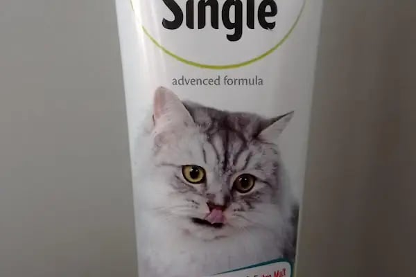 şahin petshop - Resim 14