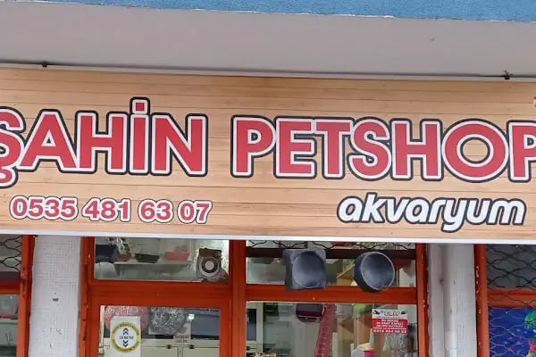 şahin petshop - Resim 7