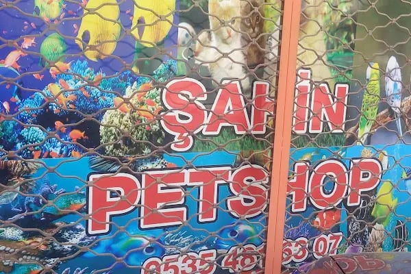 şahin petshop - Resim 17