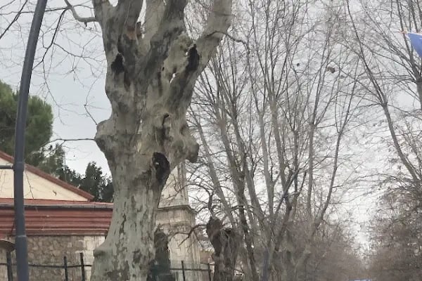 Kuzguncuk Sinagogu - Resim 11