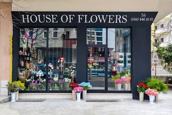 House Of Flowers - Resim 10
