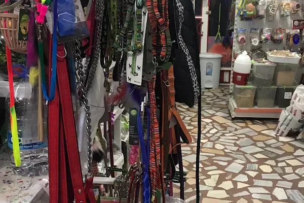 MİRAY PETSHOP AKVARYUM - Resim 11
