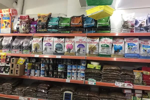 MİRAY PETSHOP AKVARYUM - Resim 18