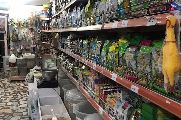 MİRAY PETSHOP AKVARYUM - Resim 3