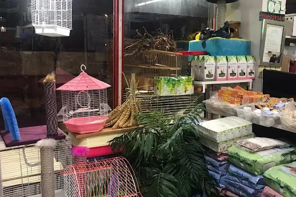 MİRAY PETSHOP AKVARYUM - Resim 19