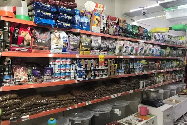 MİRAY PETSHOP AKVARYUM - Resim 9