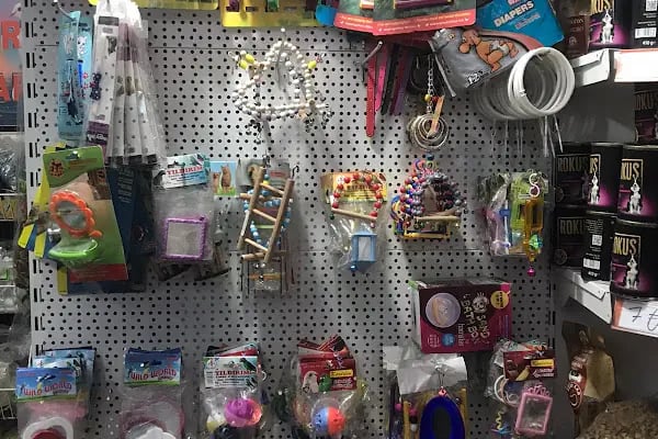 MİRAY PETSHOP AKVARYUM - Resim 13