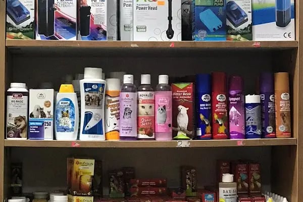 MİRAY PETSHOP AKVARYUM - Resim 8