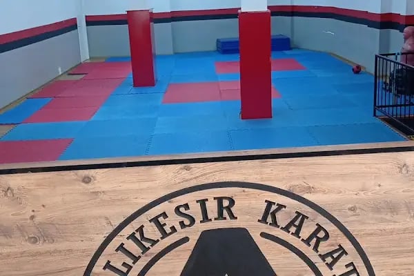 BALIKESİR KARATE AKADEMİ - Resim 2
