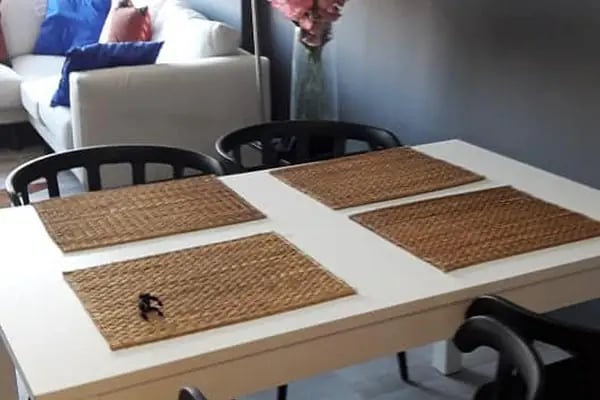 Adana Temizlik Firması - Çiçek Temizlik - Resim 13