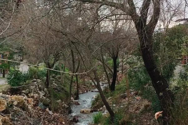 Yunus Park Mesir Tabiat - Resim 11