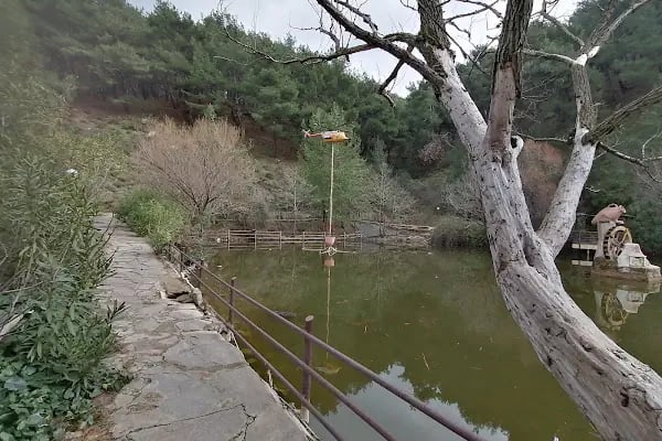 Yunus Park Mesir Tabiat - Resim 4