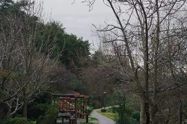 Yunus Park Mesir Tabiat - Resim 20