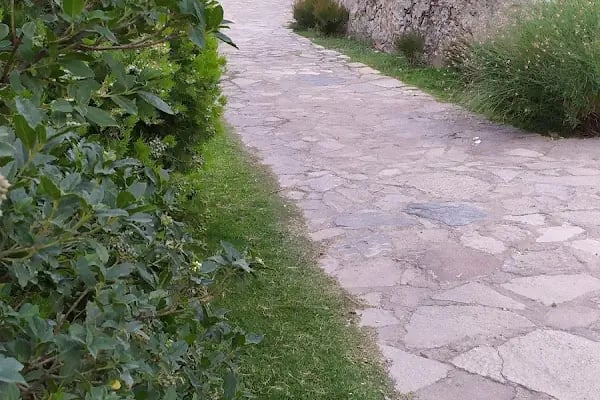 Yunus Park Mesir Tabiat - Resim 19