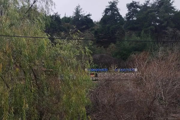 Yunus Park Mesir Tabiat - Resim 9