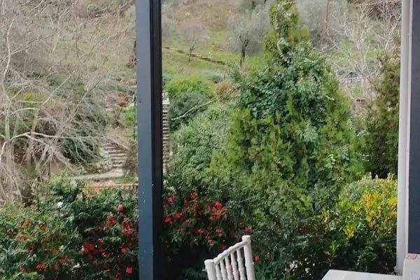 Yunus Park Mesir Tabiat - Resim 18
