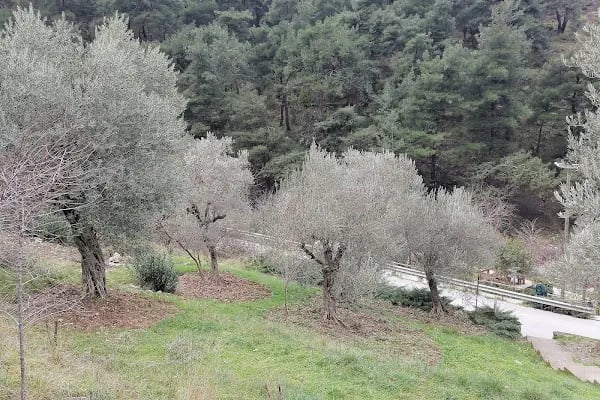 Yunus Park Mesir Tabiat - Resim 15