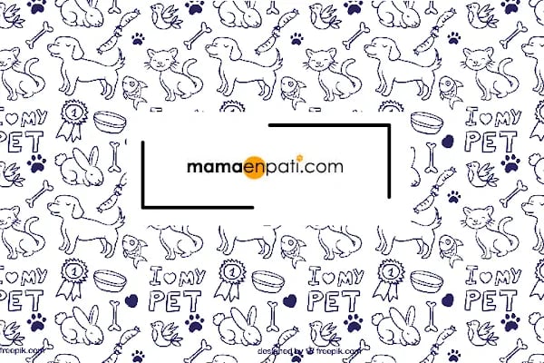 Mamaenpati Petshop - Resim 19
