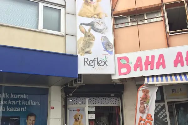 Mamaenpati Petshop - Resim 4