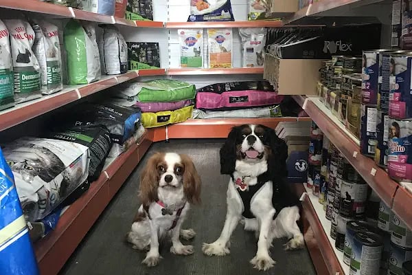 Mamaenpati Petshop - Resim 2
