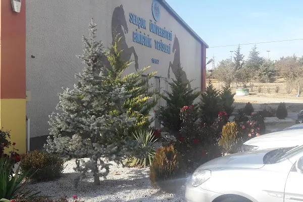 Nalçacı Binicilik &amp; At Eğitim Merkezi - Resim 19