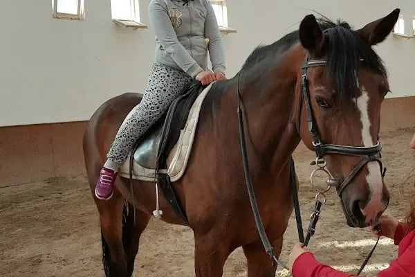 Nalçacı Binicilik &amp; At Eğitim Merkezi - Resim 13