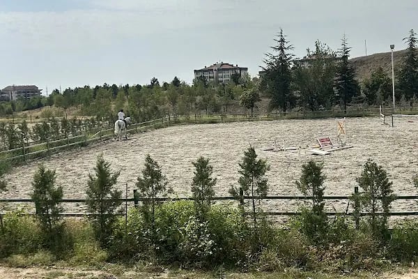Nalçacı Binicilik &amp; At Eğitim Merkezi - Resim 4