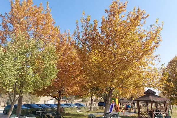 Nalçacı Binicilik &amp; At Eğitim Merkezi - Resim 17