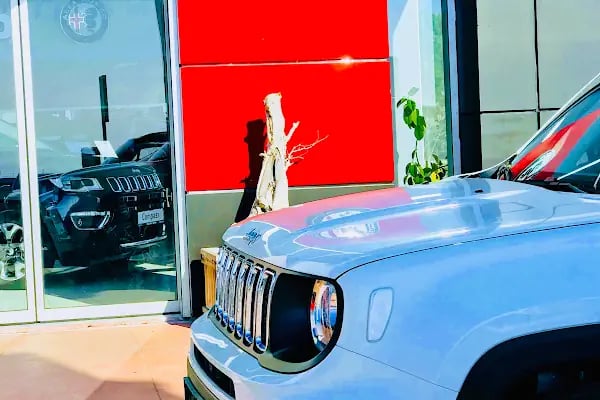 Fiat - Haliç Oto Bakırköy Yetkili Servis ve Yetkili Egzoz emisyon istasyonu - Resim 19