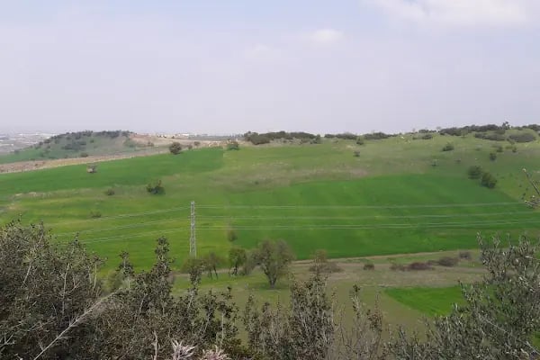 Kandiren Dede Türbesi - Resim 14