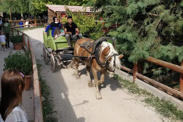 Nalçacı Binicilik & At Eğitim Merkezi - Resim 10