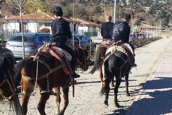Nalçacı Binicilik & At Eğitim Merkezi - Resim 9