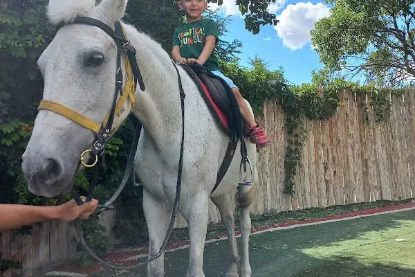 Nalçacı Binicilik & At Eğitim Merkezi - Resim 4