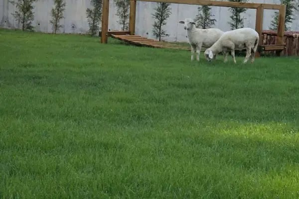 Renkli Fasulyeler Kreş ve Gündüz Bakımevi - Resim 7
