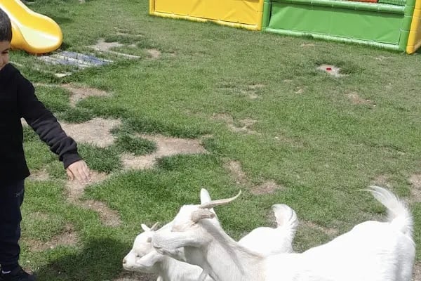 Renkli Fasulyeler Kreş ve Gündüz Bakımevi - Resim 9