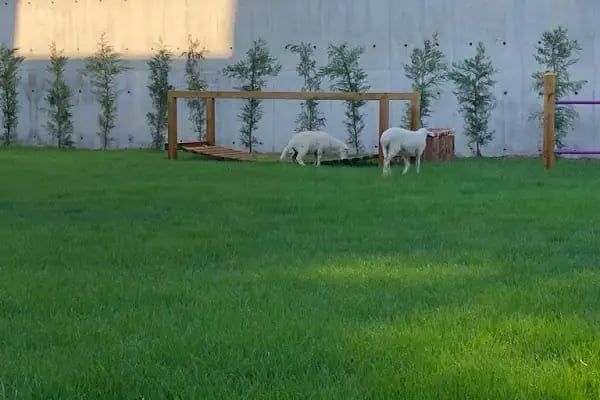 Renkli Fasulyeler Kreş ve Gündüz Bakımevi - Resim 4