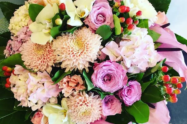 Ala flowers çiçekçilik - Resim 16