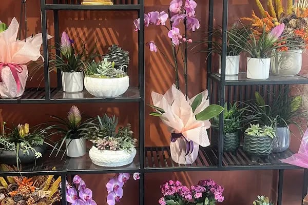 Ala flowers çiçekçilik - Resim 10