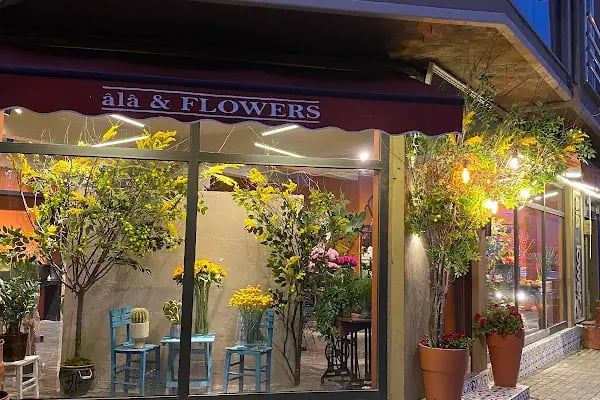 Ala flowers çiçekçilik - Resim 2