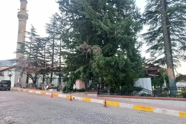 Akseki Toplum Sağlığı Merkezi - Resim 2