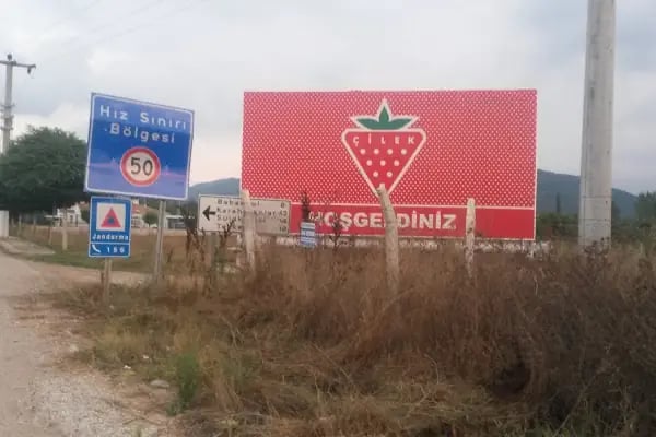 Çilek Fabrika - Resim 9