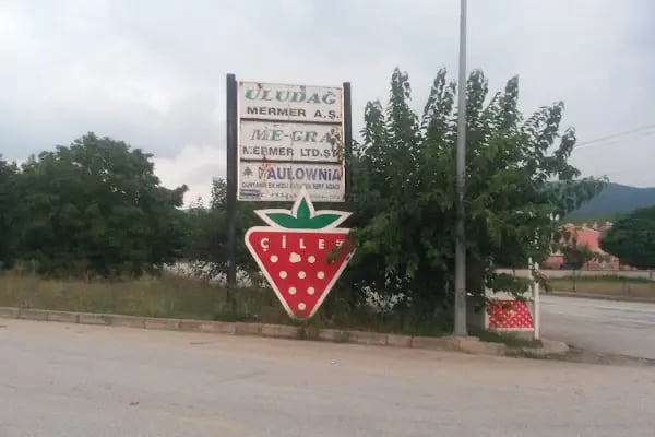 Çilek Fabrika - Resim 14