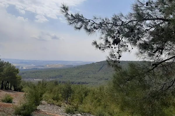 Erikçe Macera Parkı - Resim 8
