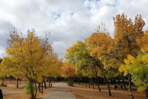 Erikçe Macera Parkı - Resim 20