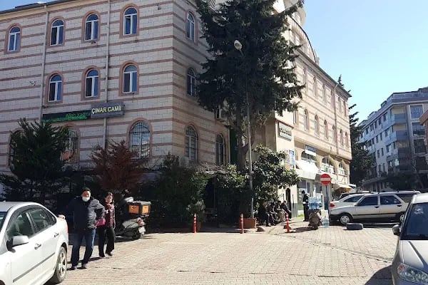 Küçükyalı Çınar Camii - Resim 18