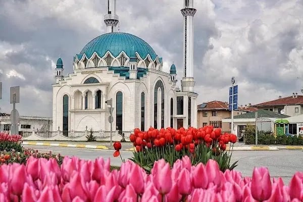 Abdulhamit Camii - Resim 8