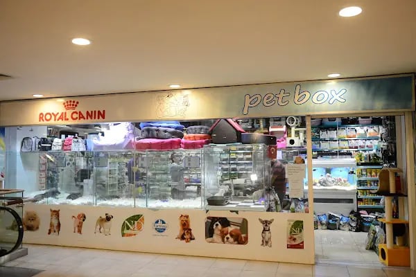 Petbox Akbatı - Resim 13