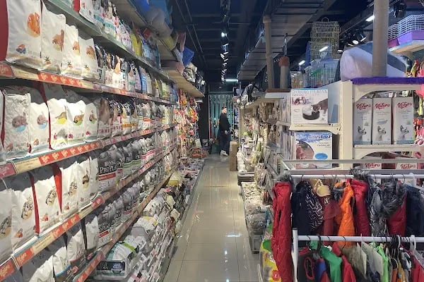 Petbox Akbatı - Resim 10