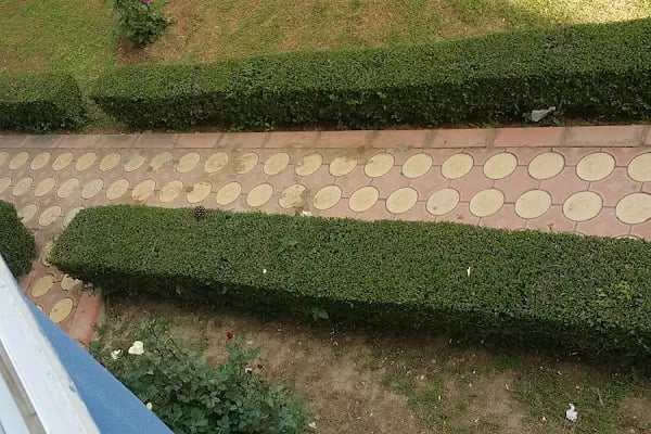 Adakoğlu Tatil Sitesi - Resim 11