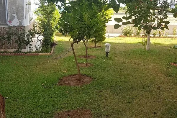 Adakoğlu Tatil Sitesi - Resim 10